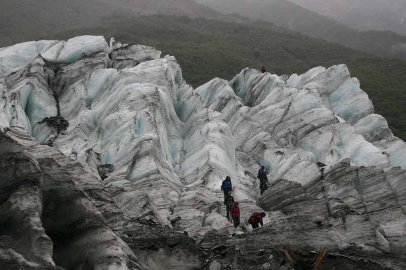 Nieuw-Zeeland 2011 - 1431